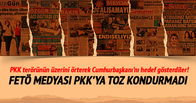 PKK terörünün üzerini örterek Cumhurbaşkanı’nı hedef gösterdiler!