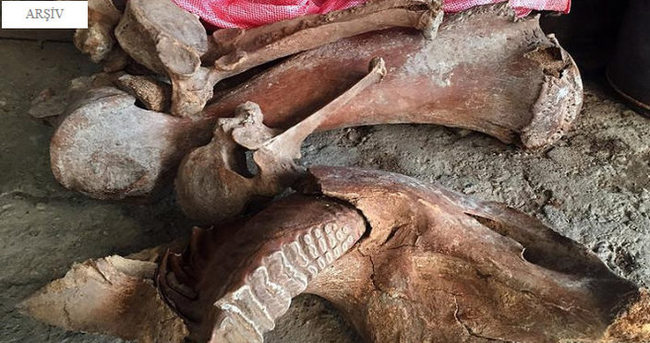 Kırgızistan’da mamut kalıntısı bulundu