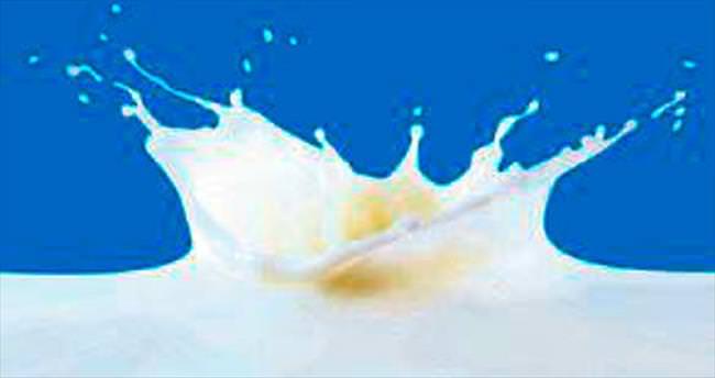 ESK İzmir’de süt alımlarına başladı