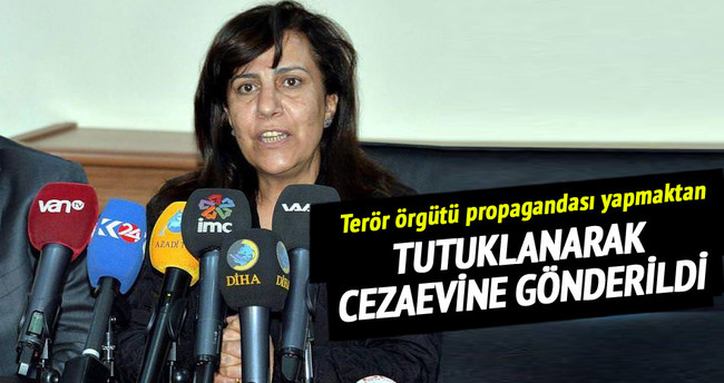 DBP Diyarbakır İl Eş Başkanı Hafize İpek tutuklandı