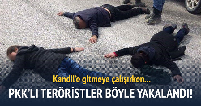 Hakkari’de ikisi kadın 4 PKK’lı yakalandı