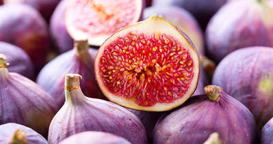 Canan Karatay: Düzenli olarak incir tüketin