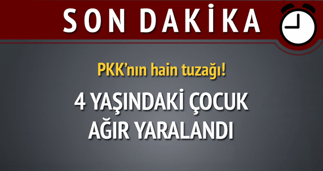 PKK’nın tuzakladığı patlayıcı infilak etti: 1 çocuk yaralı