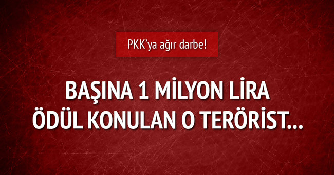 Başına 1 milyon lira ödül konulan PKK’lı ölü ele geçirildi