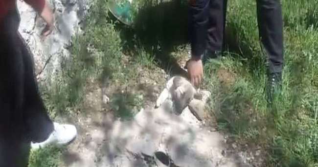 Su borusuna sıkışan yavru köpeği itfaiye kurtardı