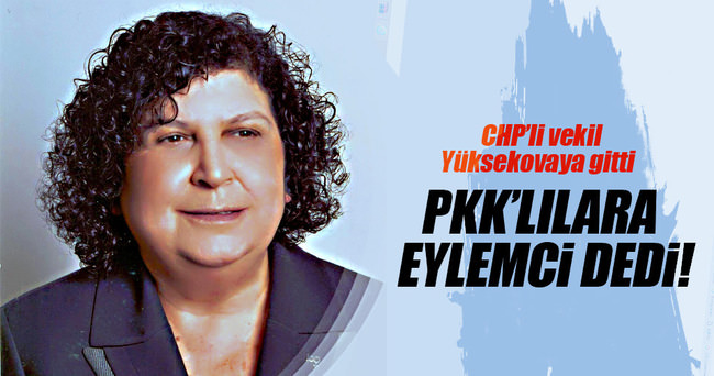 CHP’li vekil PKK’lılara eylemci dedi!