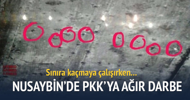 Nusaybin’de PKK’ya ağır darbe!