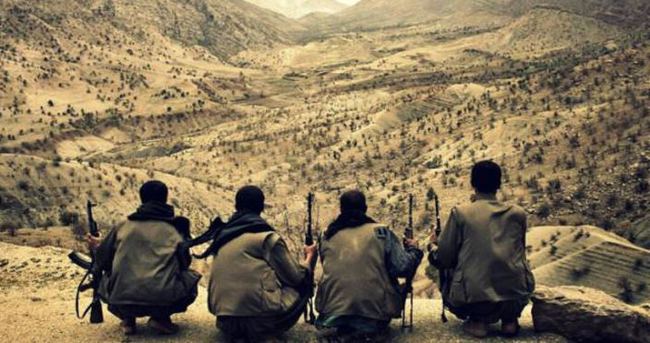 Bingöl’de PKK operasyonu: 2 kişi tutuklandı