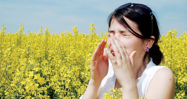 Bahar alerjisi neden olur?