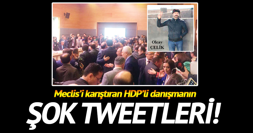 HDP’nin PKK’lı danışmanı!