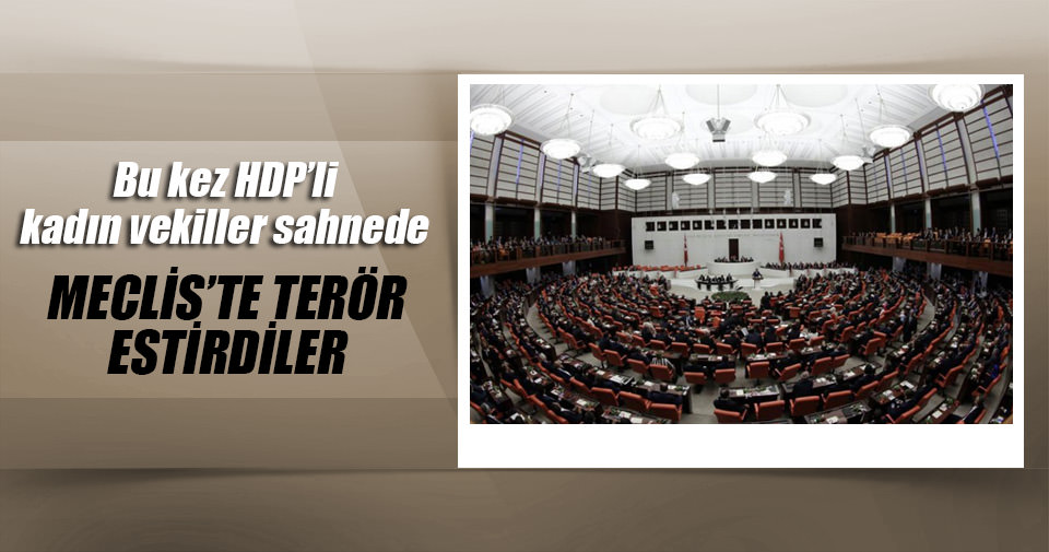 HDP’li kadın vekiller Meclis’te terör estirdi