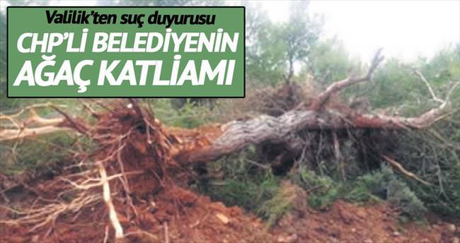 CHP’li belediyeden dozerli ağaç katliamı