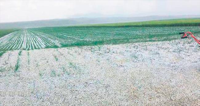 Dolu yağışı Ankara’da tarım alanlarını vurdu