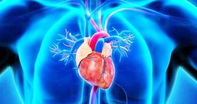 Aort damarı için düzenli kontrol şart