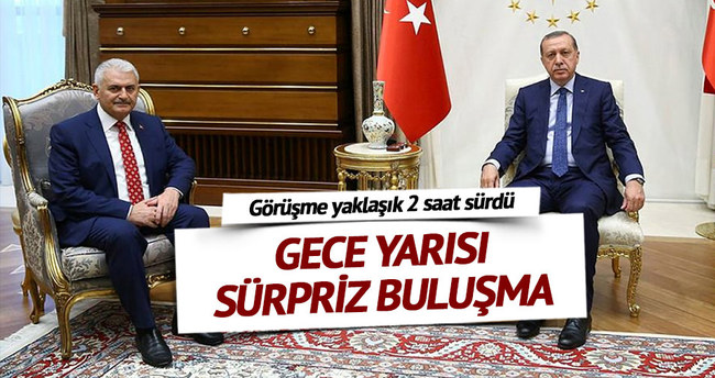 Cumhurbaşkanı Erdoğan, Binali Yıldırım ile görüştü