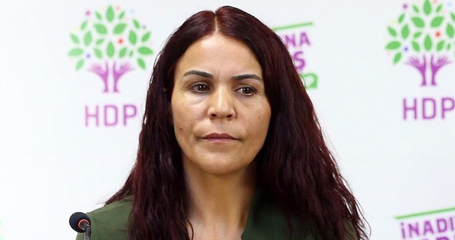 HDP Siirt Milletvekili Konca hakkında soruşturma