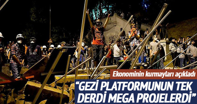 Gezi platformunun tek derdi mega projelerdi