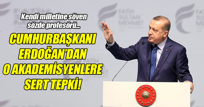 Cumhurbaşkanı Erdoğan’dan o akademisyenlere sert tepki!