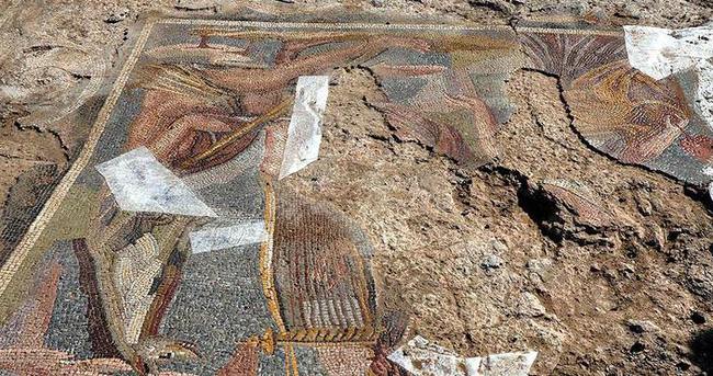Buğday tarlasında Roma mozaiği bulundu