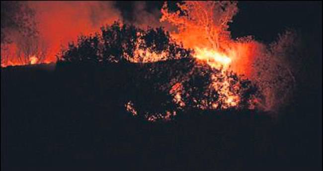 Aliağa ve Tire’de orman yangınları
