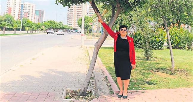 Adana’da ağaç olmak çok zor