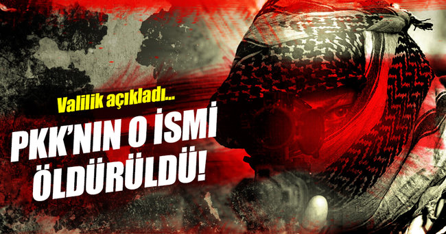 PKK’nın sözde Sinek Yayla sorumlusu öldürüldü!