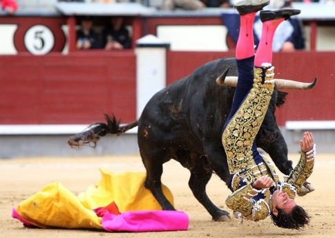 İspanya’da boğa, matadoru öldürdü