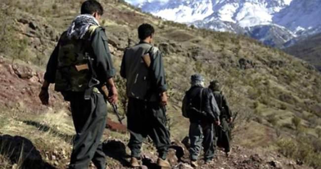 Bingöl’de PKK operasyonunda 9 tutuklama