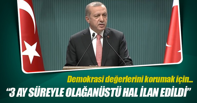 Cumhurbaşkanı Erdoğan: Demokrasi değerlerini korumak için OHAL ilan ettik