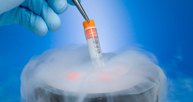 Tüp bebek merkezindeki embriyolar nakledildi
