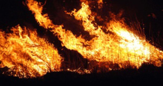 Balıkesir’deki orman yangını