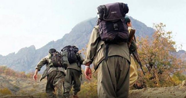 Ahlat’ta 8 PKK’lı gözaltına alındı