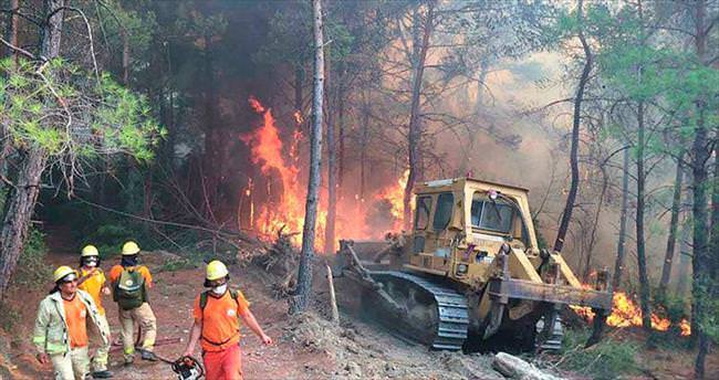Ula’da 100 hektar orman kül oldu