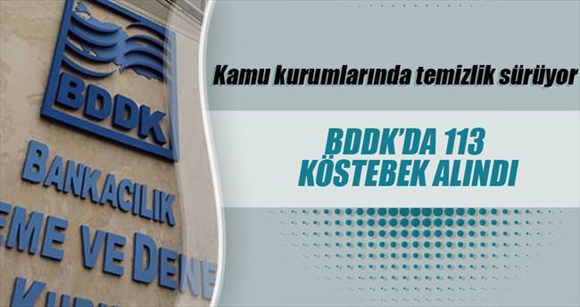 BDDK’da 113 ‘köstebek’ alındı