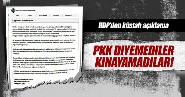 HDP, PKK diyemedi