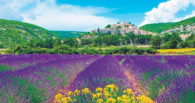 Keşke hiç bitmese denilen bir rüya Provence