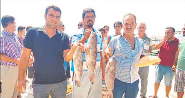Balıkçılar avlanma yasağına isyan etti