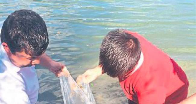 Göletlere 40 bin sazan balığı bırakıldı