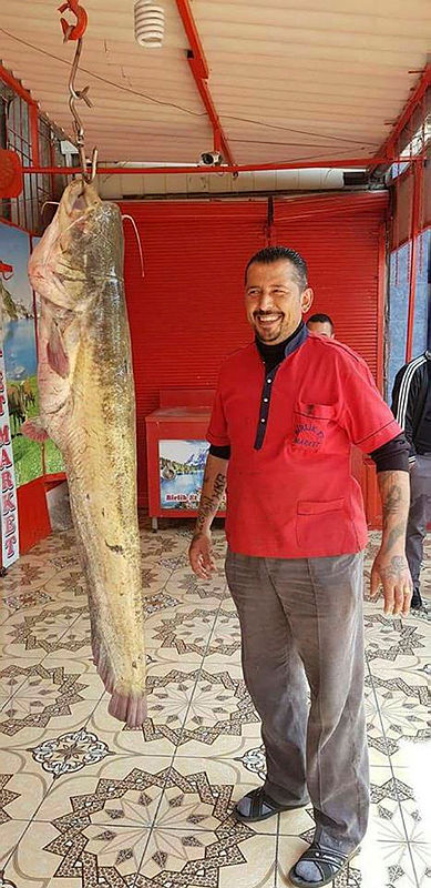 Oltayla yakalandı Tam 45 kilo Oltayla yakalandı Tam 45 kilo