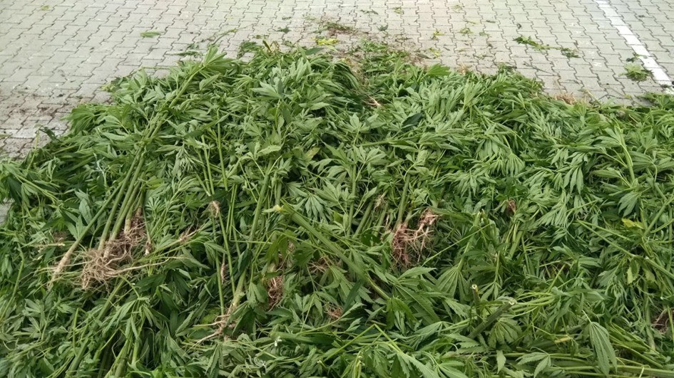 Dere kenarında tarla yaptılar Dere kenarında tarla yaptılar