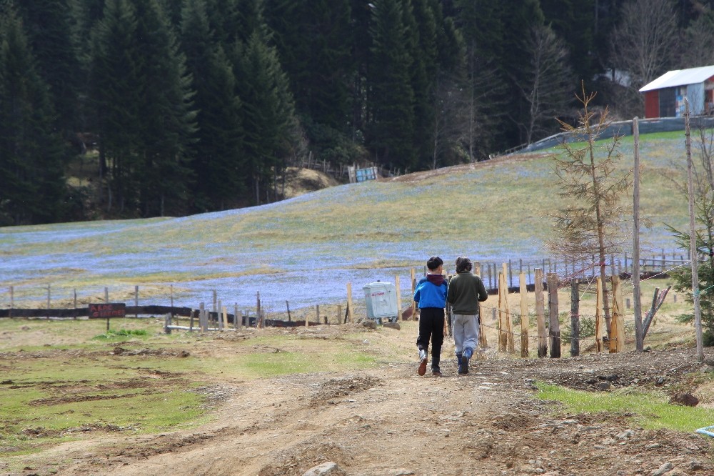 Mor Yayla’da ’Korona’ sessizliği