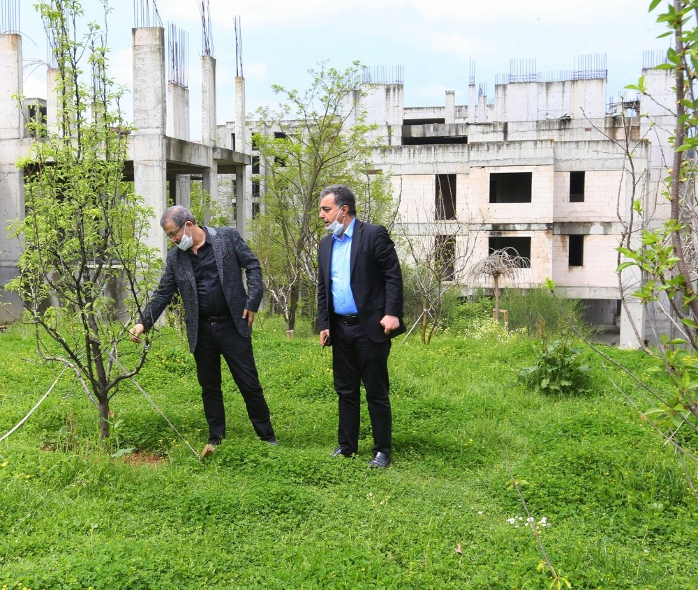 Gokturk E Meyve Bahcesi Yapildi Istanbul Haberleri