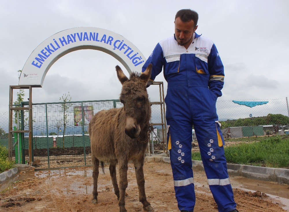 Uludağ Üniversitesi Hayvan Hastanesi