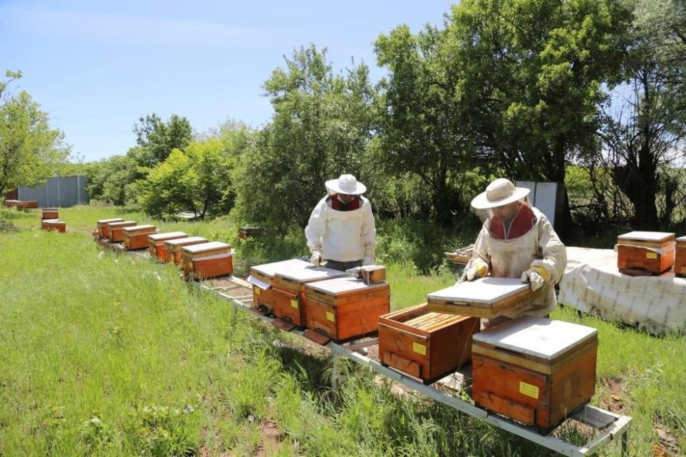 Tunceli’de Vefa Grubu arı bakımı yaptı