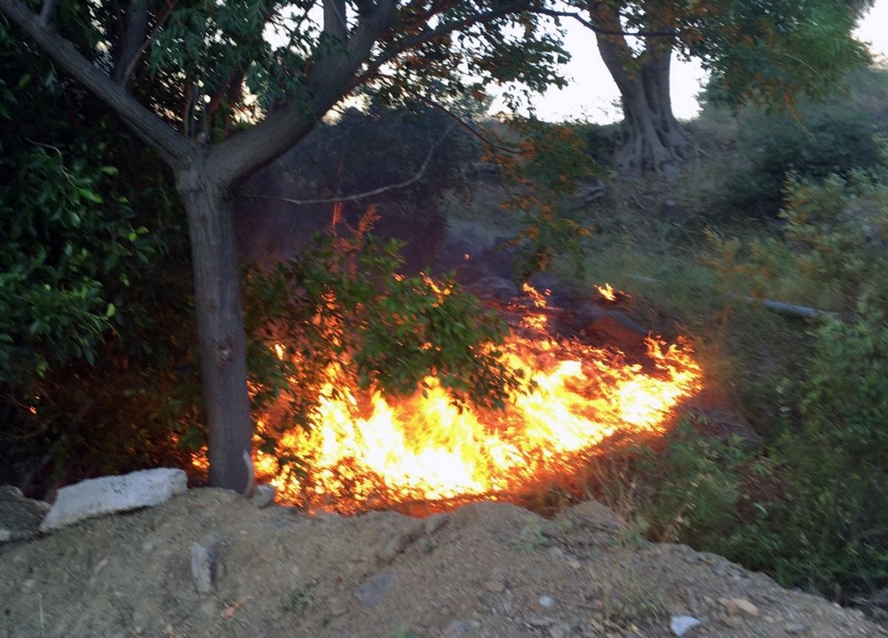Ortaca’da orman yangını