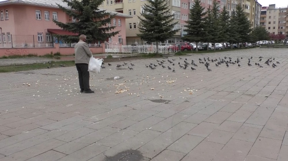 Evine aldığı ekmeği güvercinlere verdi