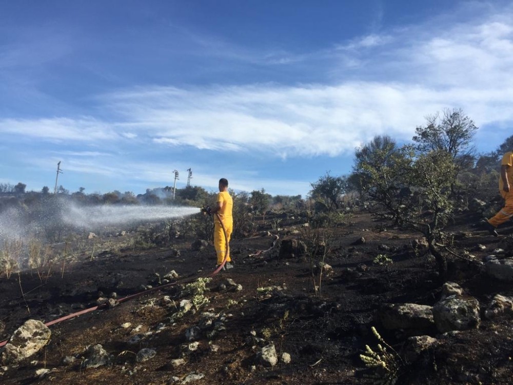 Dikili’de 1 hektarlık alan yandı