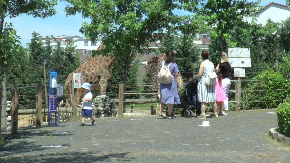 Özel Çocuklar, 3 ay sonra açılan hayvanat bahçesinde vakit geçirdi