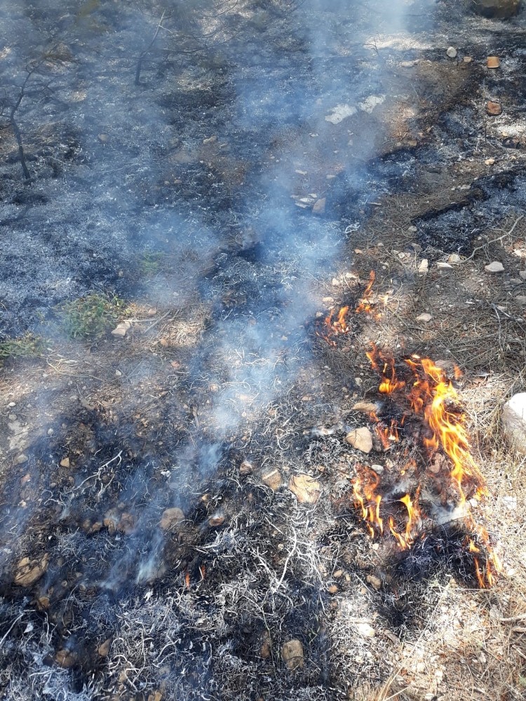 Hassa’da orman yangını, iki dekar alan zarar gördü