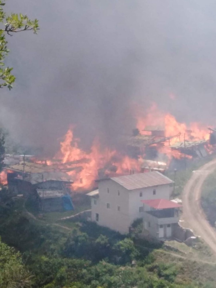 Artvin In Yusufeli Ilcesinde Yangin Artvin Haberleri